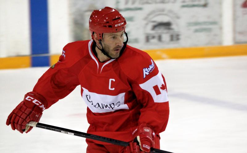 vladimir hubka 11